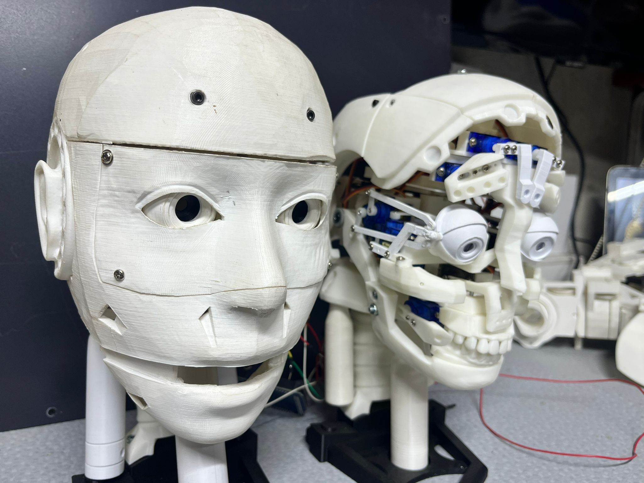 İnsansı Robot